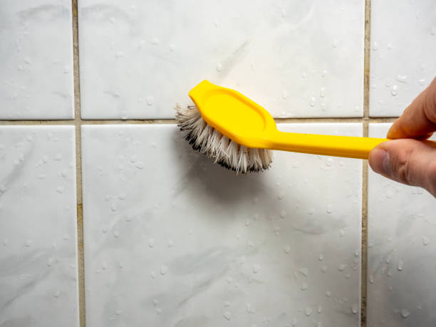Best Office Mold Removal Services  in Lafayette, GA