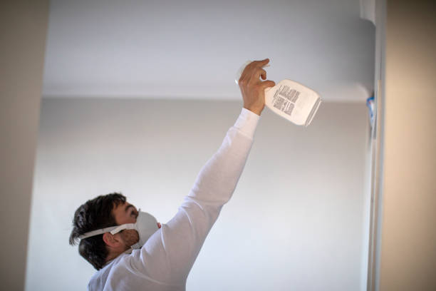 Best Toxic Mold Removal  in Lafayette, GA