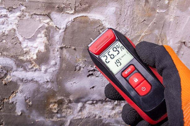 Best Certified Mold Removal  in Lafayette, GA