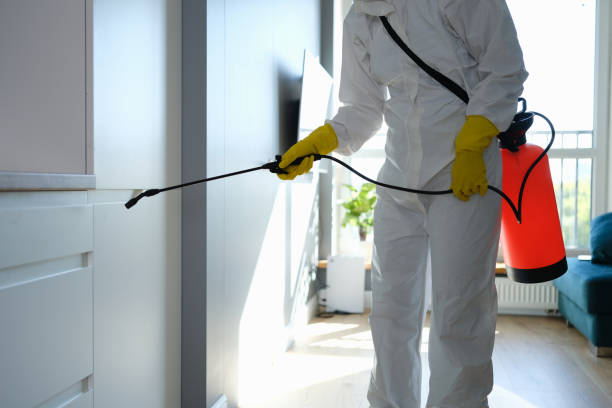 Best Home Mold Removal  in Lafayette, GA