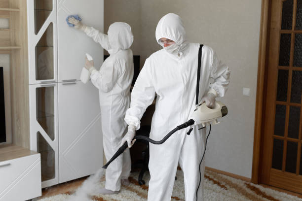 Mold Testing and Removal in Lafayette, GA