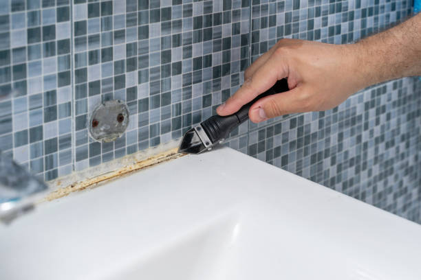 Best Local Mold Removal Service  in Lafayette, GA