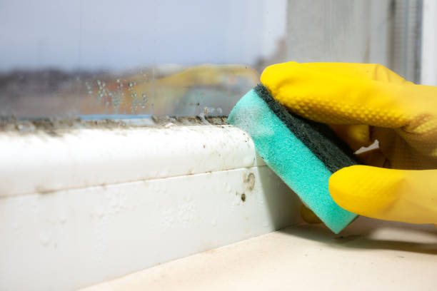 Best Crawl Space Mold Removal  in Lafayette, GA