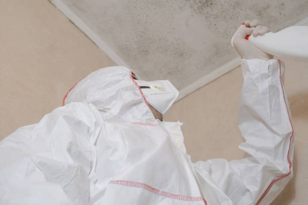 Best Crawl Space Mold Removal  in Lafayette, GA